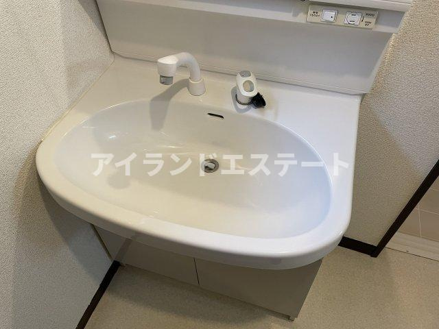 成田東1丁目戸建　ペット相談　TVドアフォン　の洗面所