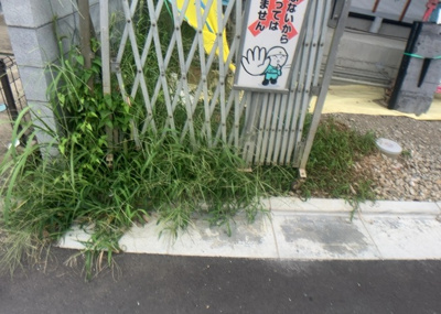 【庭】 | 石川町新築戸建 | 家族でのBBQを行うのであれば3坪程度の広さがあればよいでしょう。ガーデニングや家庭菜園を楽しむ際は、手入れが行き届く範囲にすると安心です。また、庭のある方角や接道が気になる方は事前に確認しましょう。