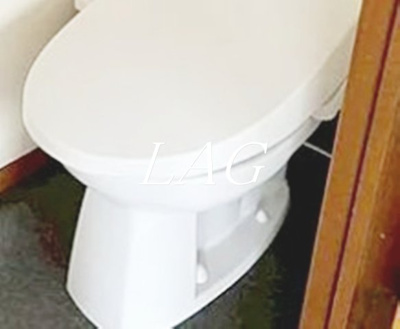 【トイレ】 | ハイツかつら | トイレです。