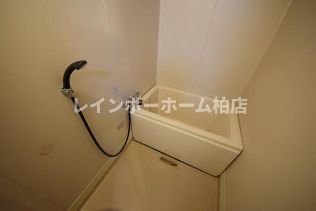 特典：仲介手数料が無料です!!の浴室