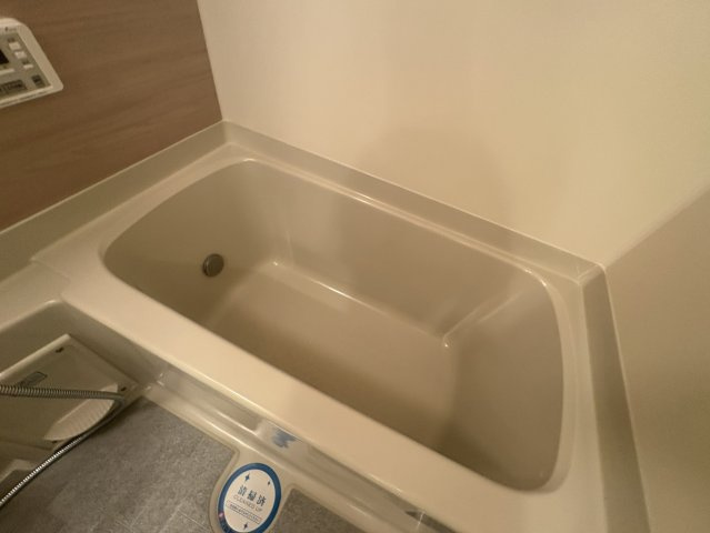 Fortuney江坂Ⅱの浴室