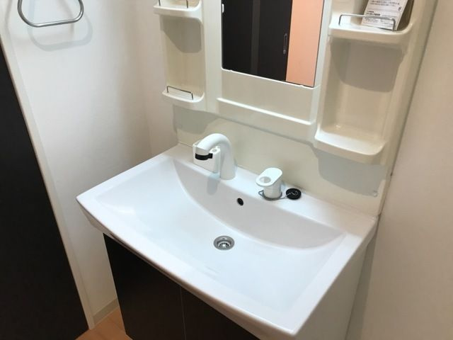 レジデンス鶴田の洗面所