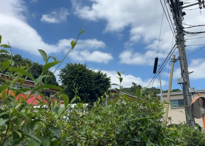 【展望】 | 水郷田名新築戸建 | 田園風景が味わえる土地に住みたい！海や山の見える自然豊かな土地に住みたい！などご要望に併せて当社営業がご提案させて頂きます。当社が抱えている数ある物件の中からお客様が納得する1件を一緒に探しましょう！