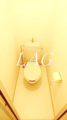 【トイレ】 | ウィステリアⅡ | トイレです。