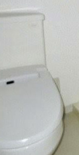TRDフラットのトイレ