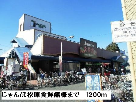 エスペランサの周辺|じゃんぼ松原食鮮館様まで1200m