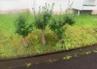 【洋室】 | 鳶尾新築戸建 | 洋室のメリットは重い家具が置きやすく、身の回りが整理しやすいことです。 床がフローリングのため畳とは異なり凹みにくいです。 クローゼットなど収納が豊富で、普段使わない旅行カバンや服の整頓も簡単にです。