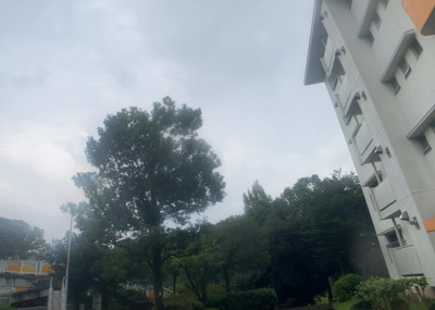 【子供部屋】 | 鳶尾新築戸建 | 子供が何人でも年齢によっては、受験時にしっかり壁のある個室があった方が良い場合もあります。難しい問題ですが、兄弟の人数や、性別や年齢差によって状況が異なりますので、数年後のこともしっかり考えましょう。