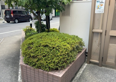 【庭】 | ルピナス八王子 | 敷地内の植栽や緑豊かなスペースは綺麗に手入れされており、日々の暮らしに穏やかな潤いを与えてくれます。平坦地で歩きやすい周辺環境とともに、四季折々の自然を感じながら穏やかな生活が送れる住環境です。