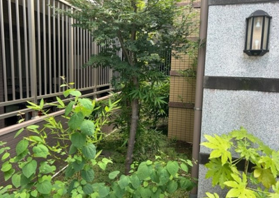 【中庭】 | 日神パレステージ | 中庭（パティオ）とは、一つの建築物の内部に設けられた、壁などで囲われている庭のことを指します。コの字型、ロの字型が主流ですが、L字型の中庭もあります。最近では、インテリア性の高さからも人気があります。