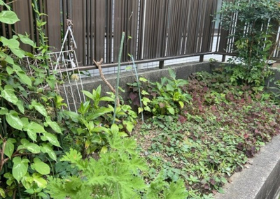 【庭】 | スガハイム１下九沢 | マンション敷地内にある植栽・緑地スペースです。閑静な住宅街に佇む物件ならではの穏やかな環境が整っており、四季折々の表情を感じられます。丁寧に手入れされた緑が住まいに彩りと癒やしを与えてくれます。