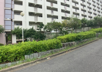 【中庭】 | 東建座間ハイツ２号棟 | 中庭（パティオ）とは、一つの建築物の内部に設けられた、壁などで囲われている庭のことを指します。コの字型、ロの字型が主流ですが、L字型の中庭もあります。最近では、インテリア性の高さからも人気があります。