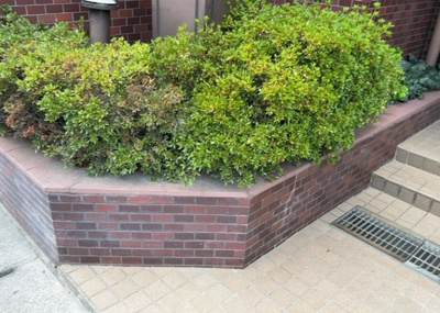 【中庭】 | ライオンズマンション淵野辺鹿沼公園 | 中庭（パティオ）とは、一つの建築物の内部に設けられた、壁などで囲われている庭のことを指します。コの字型、ロの字型が主流ですが、L字型の中庭もあります。最近では、インテリア性の高さからも人気があります。