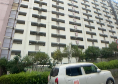 【中庭】 | 東建座間ハイツ１号棟 | 中庭（パティオ）とは、一つの建築物の内部に設けられた、壁などで囲われている庭のことを指します。コの字型、ロの字型が主流ですが、L字型の中庭もあります。最近では、インテリア性の高さからも人気があります。