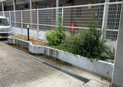 【中庭】 | メゾン・ド・ビザール | 中庭（パティオ）とは、一つの建築物の内部に設けられた、壁などで囲われている庭のことを指します。コの字型、ロの字型が主流ですが、L字型の中庭もあります。最近では、インテリア性の高さからも人気があります。