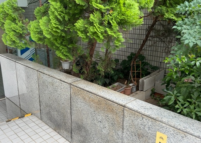 【庭】 | メゾン元横山 | 物件によっては、入居者が個人的に使用できる専用庭がついているものもあります。また、住宅の中にある土間の部分を庭と呼ぶこともあります。庭の用途は住む人によって変わり、それによってデザインもさまざまです。