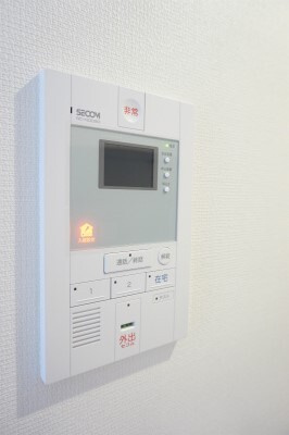 リブリ・ミライトのその他