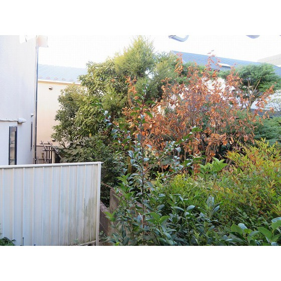 ソシオ上目黒のその他|眺望