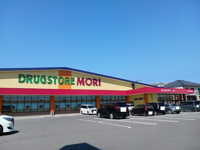 ＢＥＳＴ　ＨＯＵＳＥ　Ⅵの周辺|ドラッグストアモリ光店まで500m