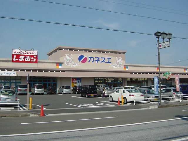 ラッキーズハイツⅡの周辺|カネスエ新生店まで599ｍ