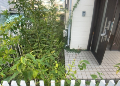 【庭】 | 南大谷中古戸建 | 庭があることでガーデニングや家庭菜園はもちろん、こどもの遊び場やペットを放して遊ぶことができます。また、家の周囲に余裕があるということです。隣地との間があれば、十分な日当たりと、風通しが確保できます。