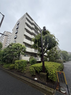 【外観】小松川グリーンハイツ１号棟 
