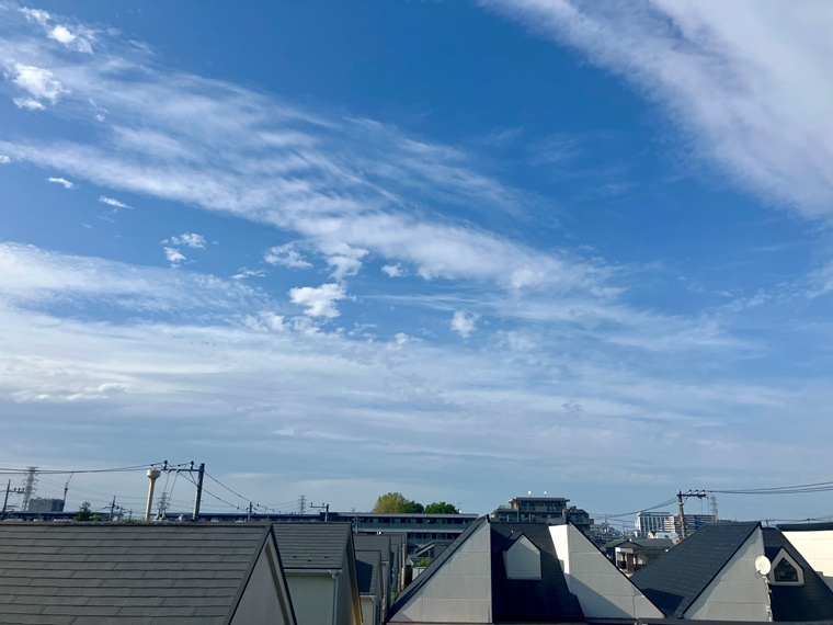 井口戸建の展望