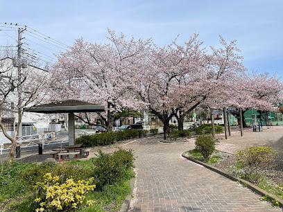 リヴシティ向島参番館の周辺