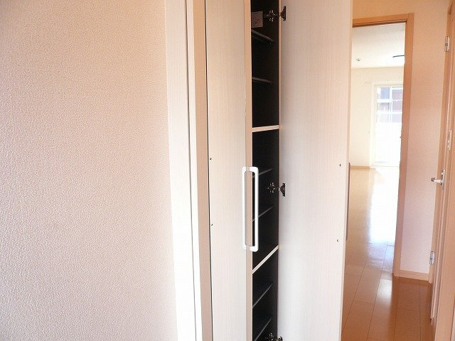 ロング　シーダー　Ｄのその他