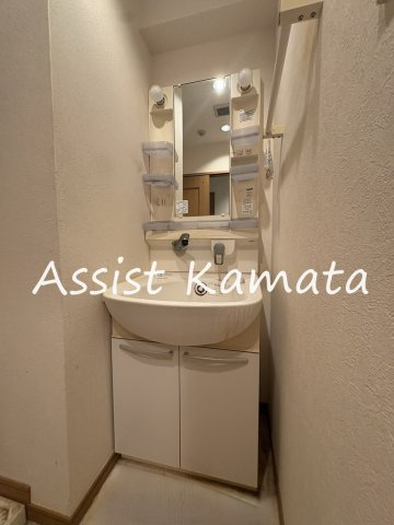 メゾンドソレイユＶの洗面所