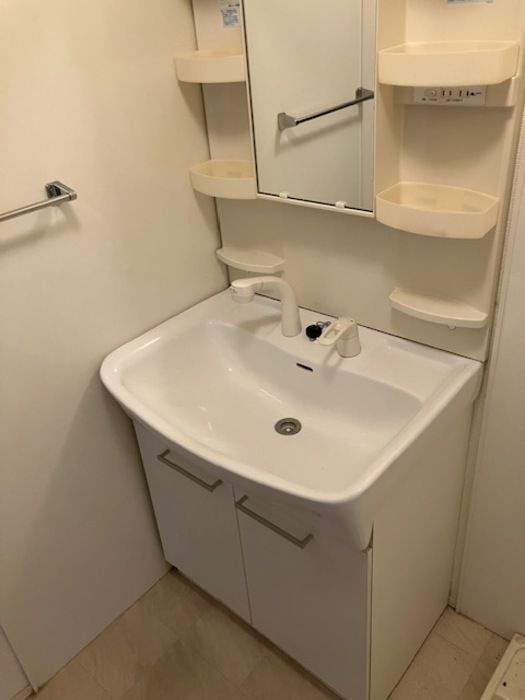 フィールド砂口の洗面所