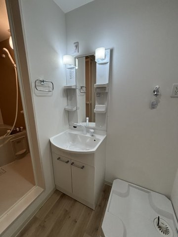 フジパレス忍ケ丘Ⅲ番館の洗面所