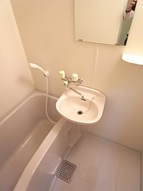 メリーメゾンの洗面所