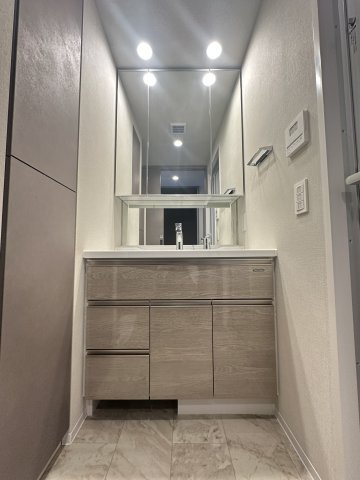 SK RESIDENCES SHINSAIBASHI (旧 SK RESIDENCE)の洗面所