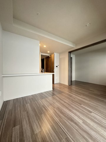 SK RESIDENCES SHINSAIBASHI (旧 SK RESIDENCE)の居間・リビング