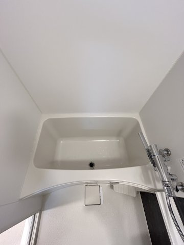 エスリードレジデンス大阪本町の浴室