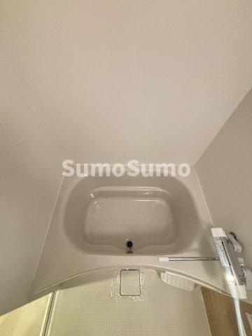 エスグランデ難波サウスの浴室