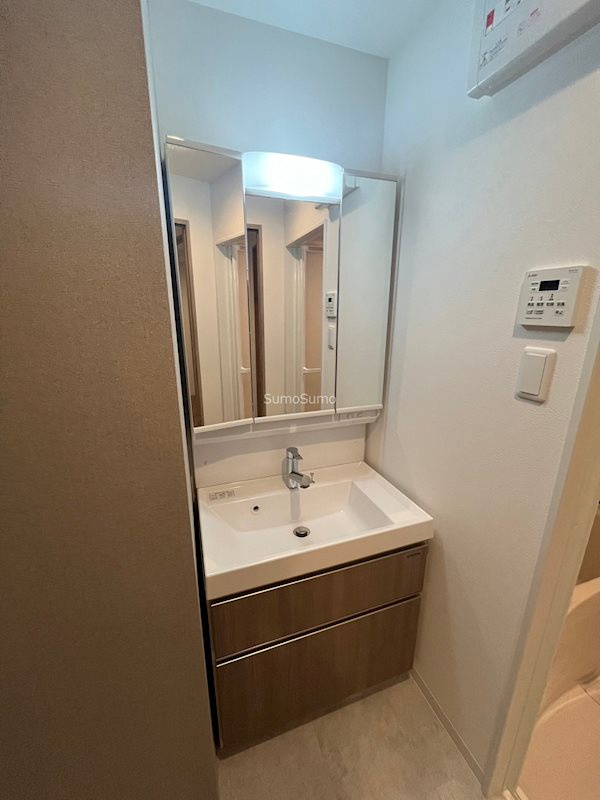 プレサンスNEO九条ディアシスの洗面所