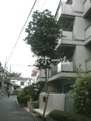 コーポ小山