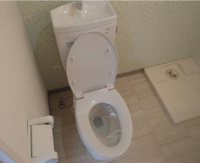 落ち着いた色調のトイレです