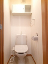 落ち着いた色調のトイレです