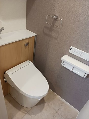 落ち着いた色調のトイレです