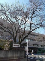 青梅市立総合病院まで180m