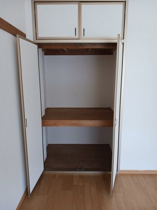 大きなものも収納できそうです