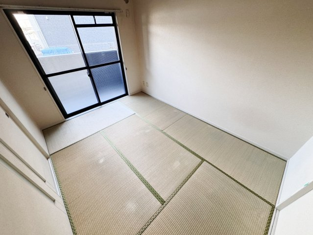 ドヴェルスミダのその他
