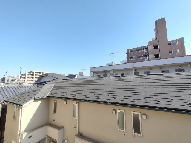 セキレイの展望