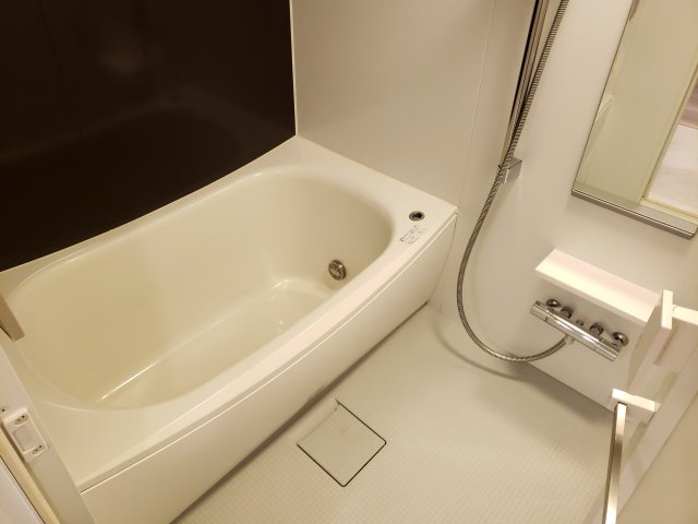 パレステージ新小岩ファストコートの浴室