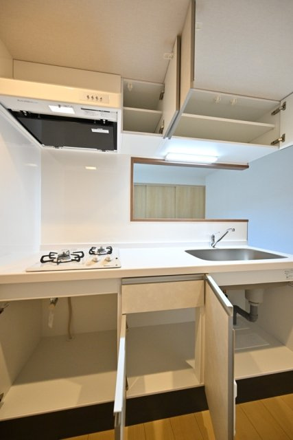 ＣＥＮＴＲＡＬ　ＧＡＲＤＥＮ　ＲＥＳＩＤＥＮＣＥ　ＴＯＫＹＯのキッチン|キッチンです