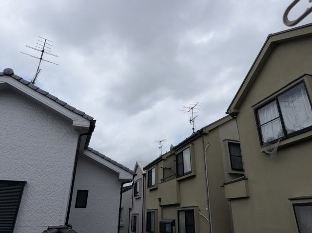 【展望】 | ＮＳ世田谷