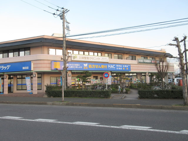 グリンデルワルトのその他|ハックドラッグ鵠沼店